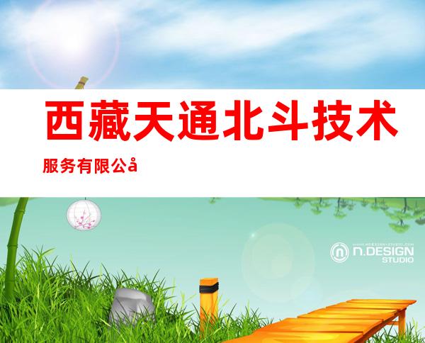 西藏天通北斗技术服务有限公司
